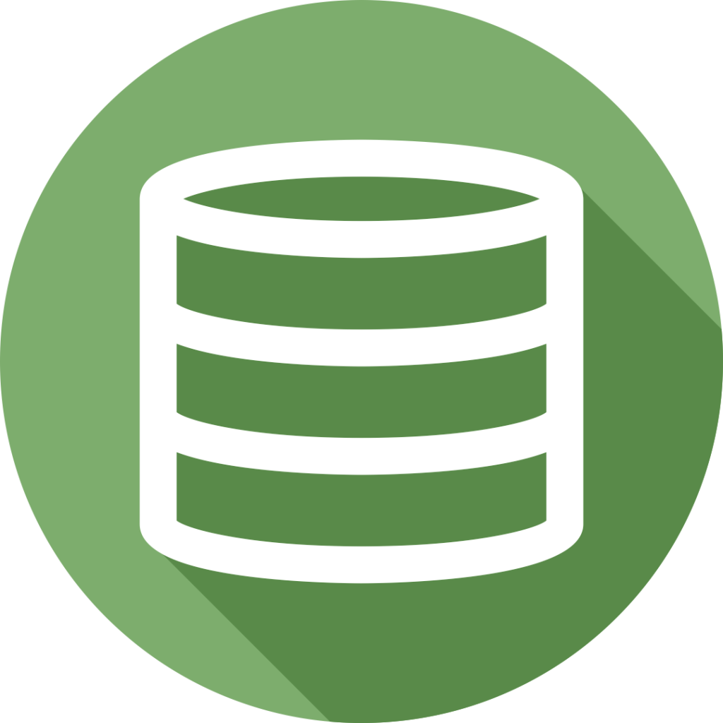Software Migration & Implementation – Rasyidi Consulting Group