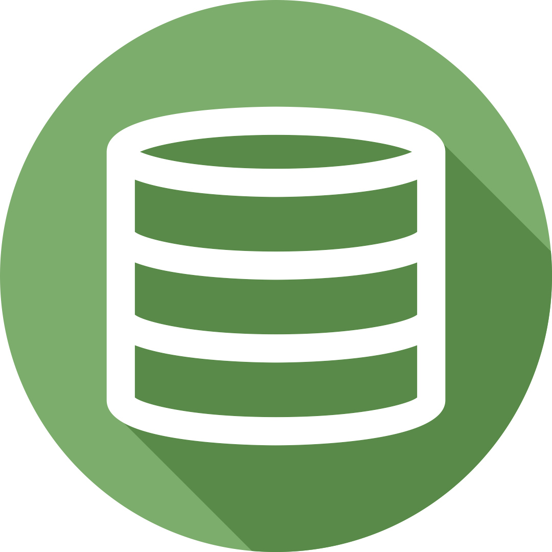 Software Migration & Implementation – Rasyidi Consulting Group